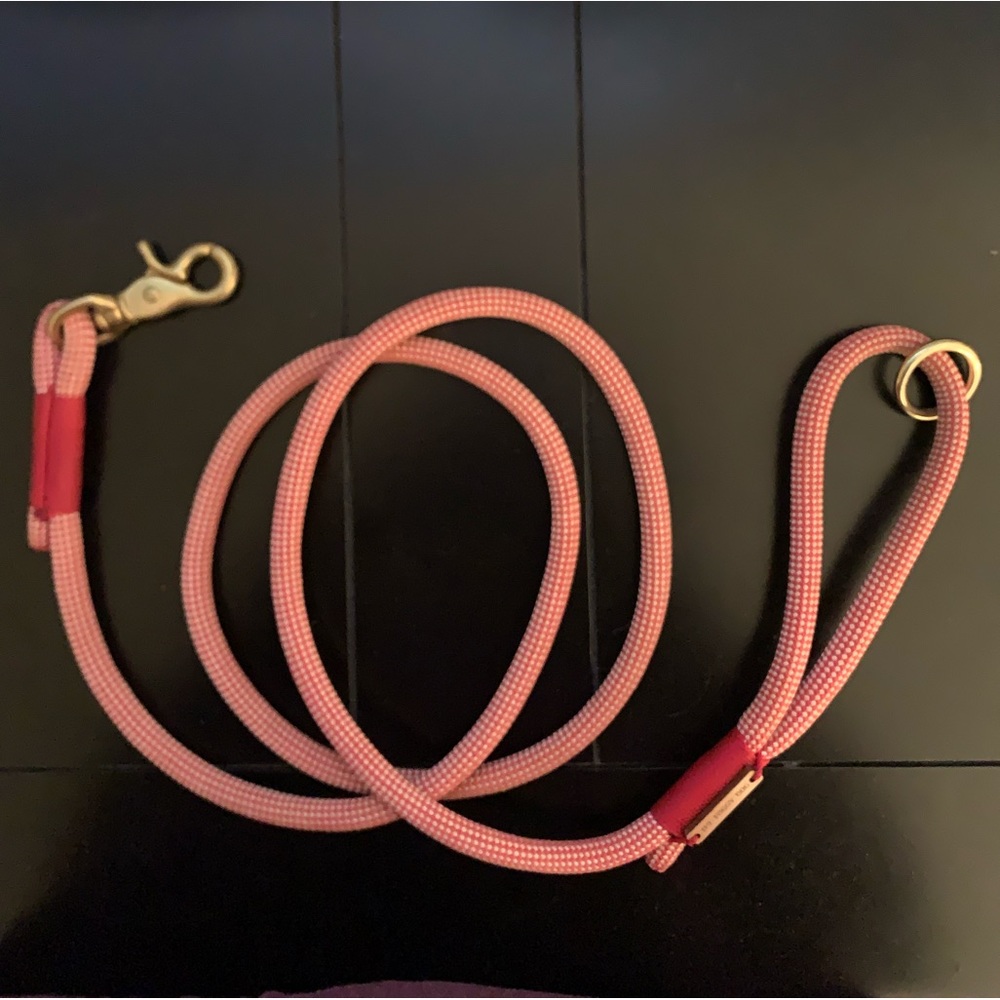 Foggy Dog Strawberry Climbing Rope Leash (5 ft)